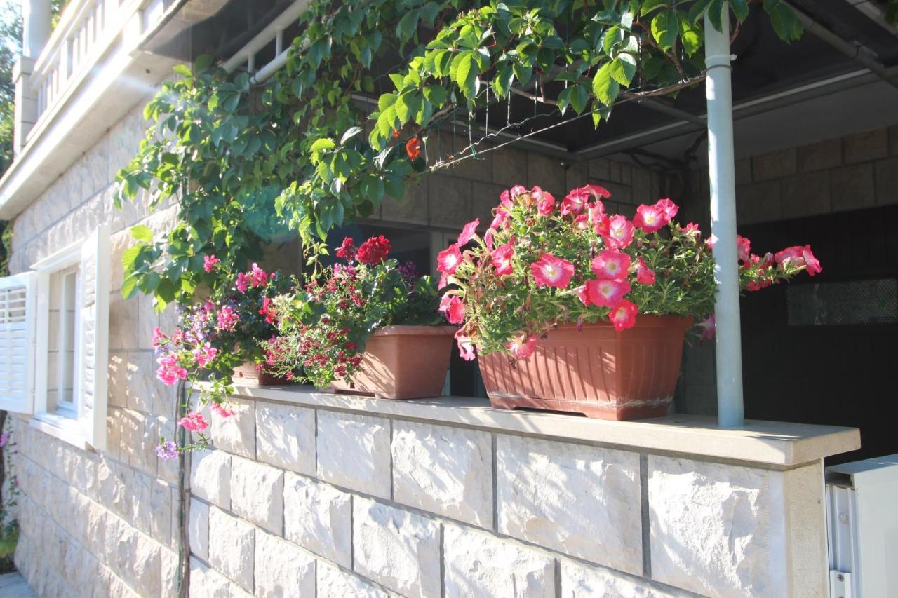 Apartment Ruzica Zrnovo Zewnętrze zdjęcie